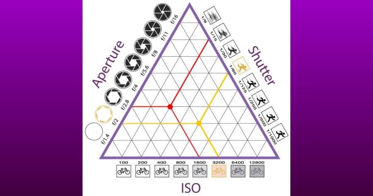A Diagram Of A Triangle With Different Symbols On It.