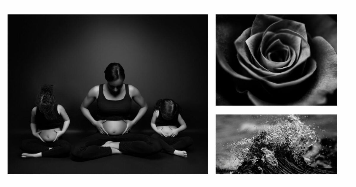A Black And White Photography Ideas For A Pregnant Woman Photoshoot With A Rose.