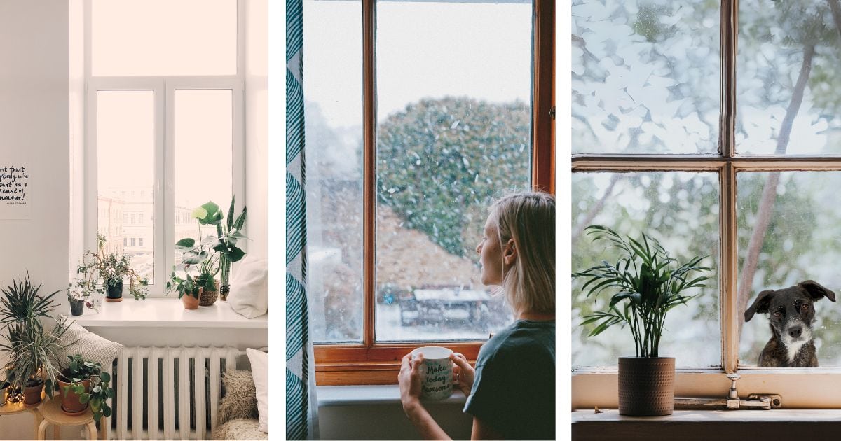 Four Pictures Of A Woman Sitting In Front Of A Window With A Dog, Capturing Photography At Home.