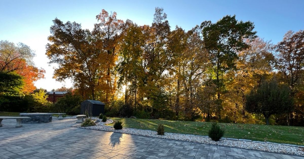 A Paver Patio With Trees In The Background, Suitable For Photography At Home.
