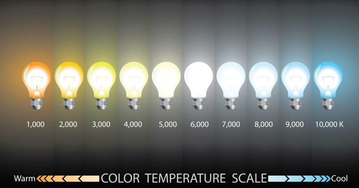 A Set Of Light Bulbs With Different Color Temperature Scales Designed To Enhance The Steps To Photography.
