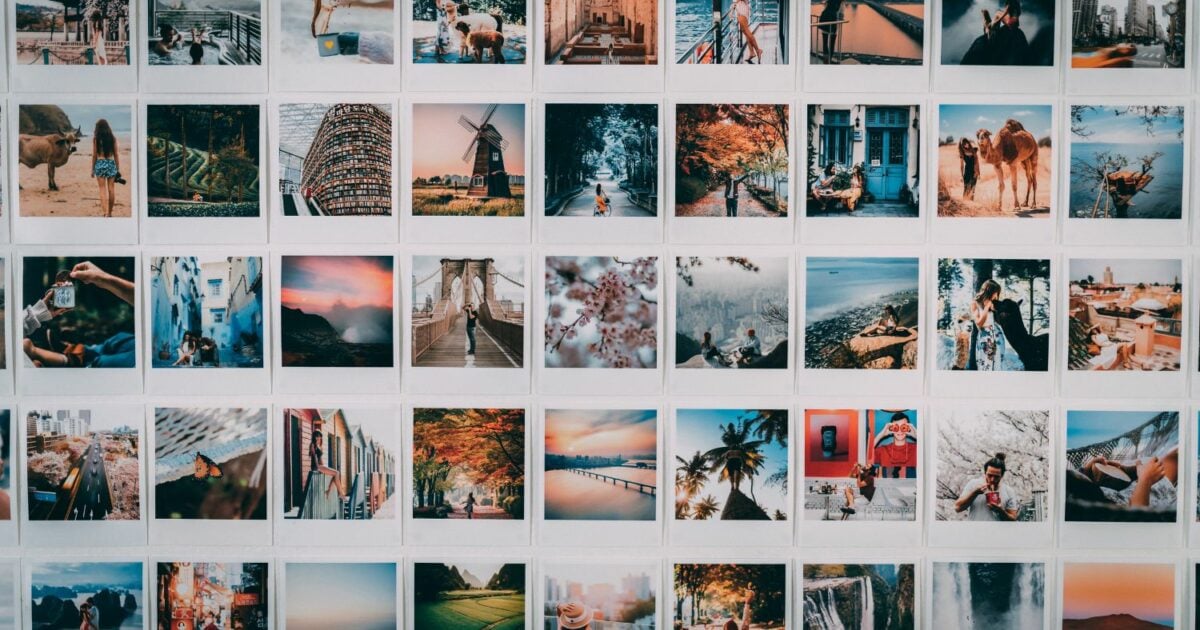 A Wall Of Photos Displaying Various Photography Ideas.