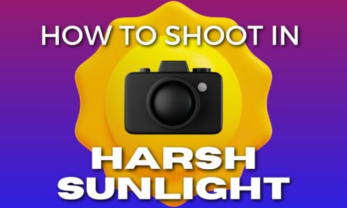 A Simple Guide To Harsh Sunlight Photography