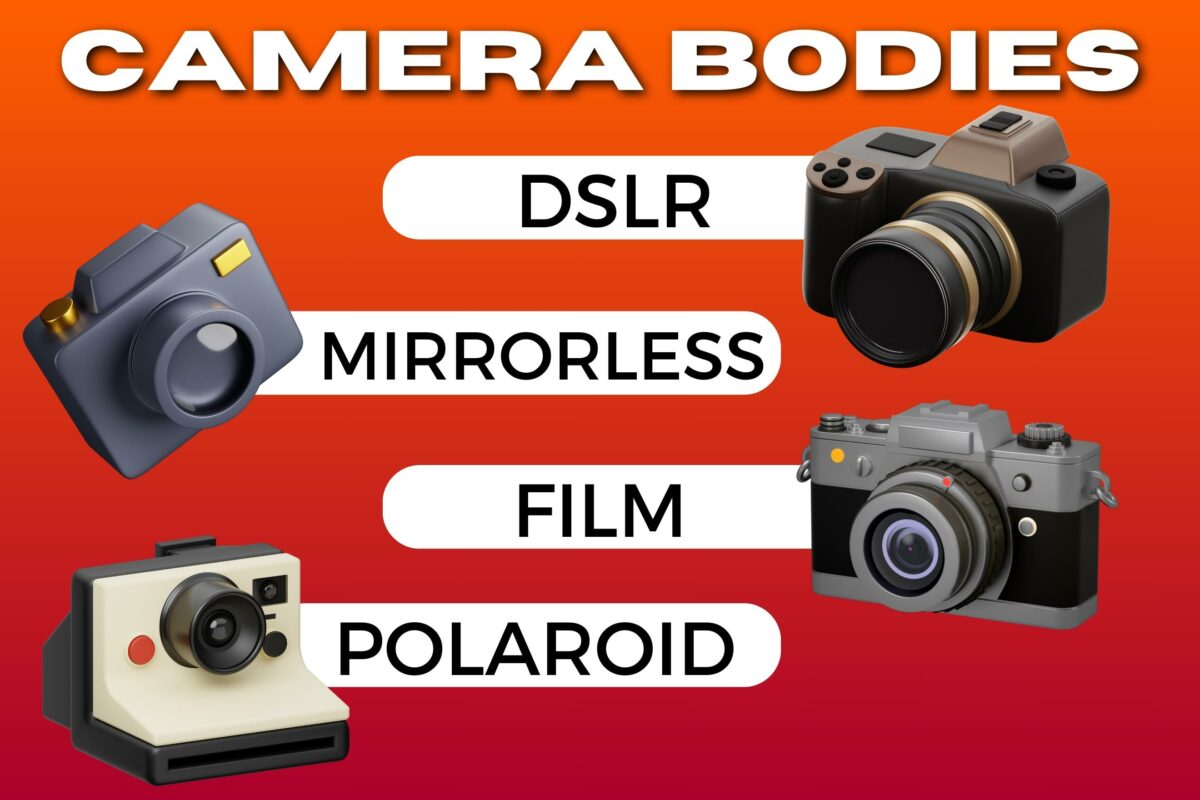 Camera Bodies Dslr Mirrorless Film Polaroid.