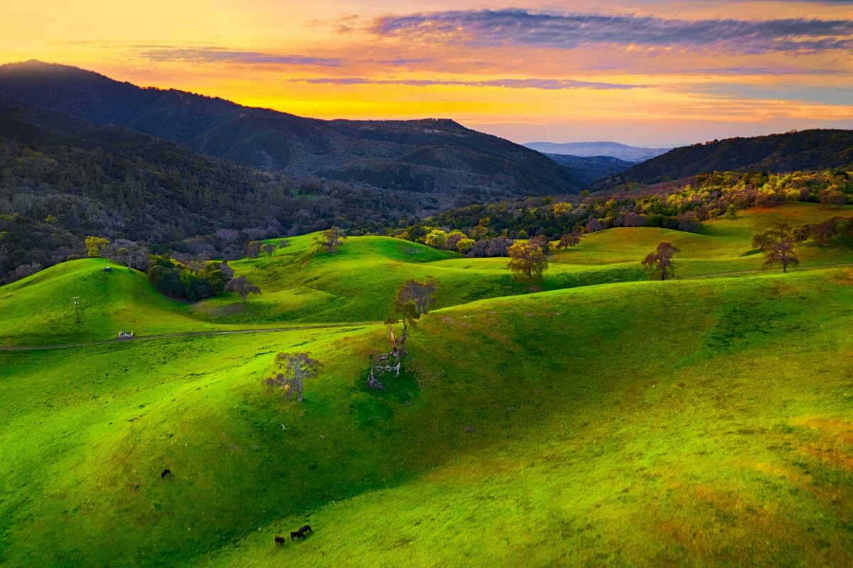 A Captivating Nature Photography Of A Green Hillside At Sunset, Captured From An Aerial View.