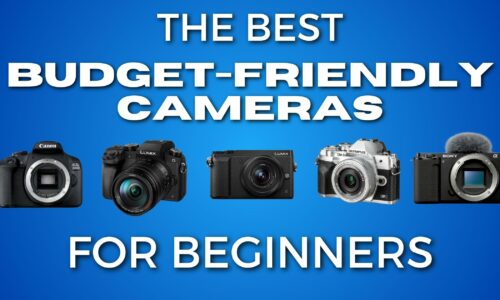 The Best Budget Friendly Cameras For Beginners In 2024