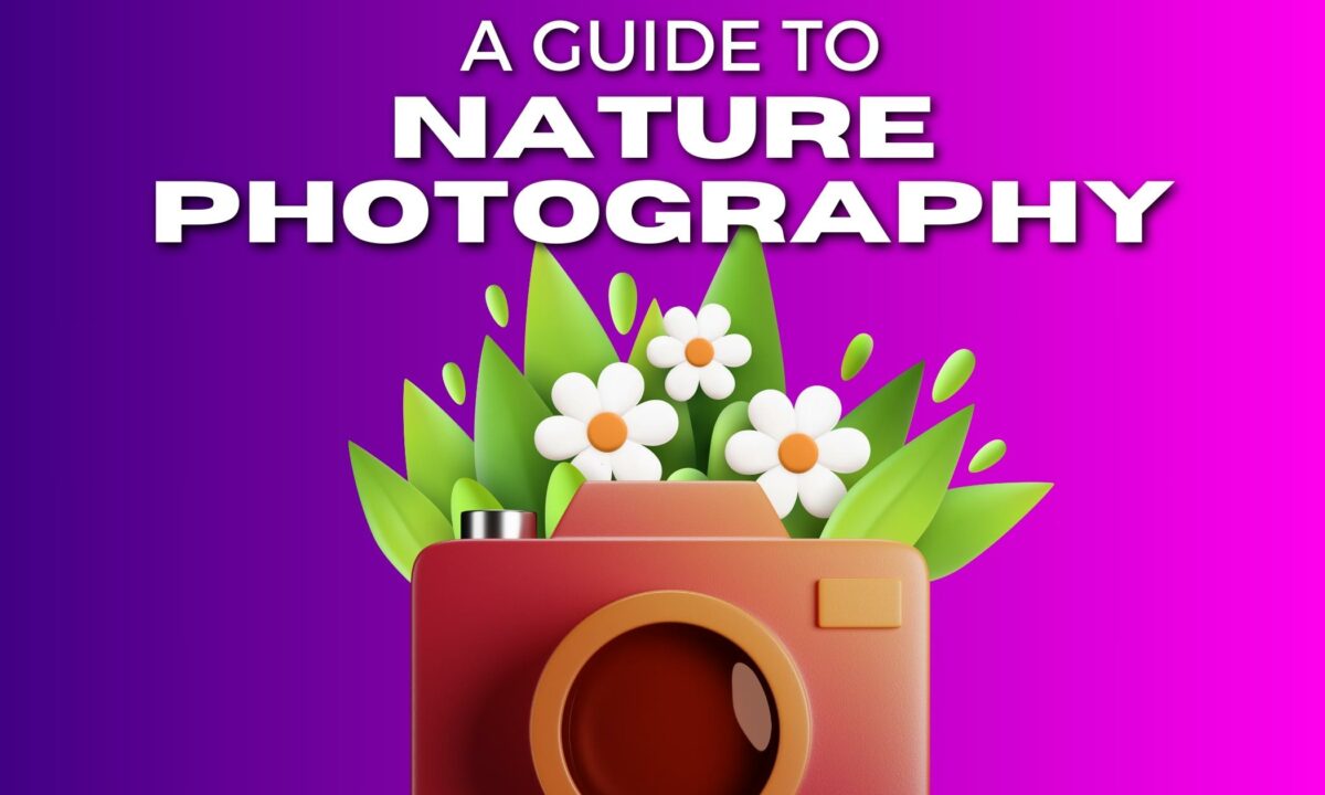 A Beginner'S Guide To Nature Photography.