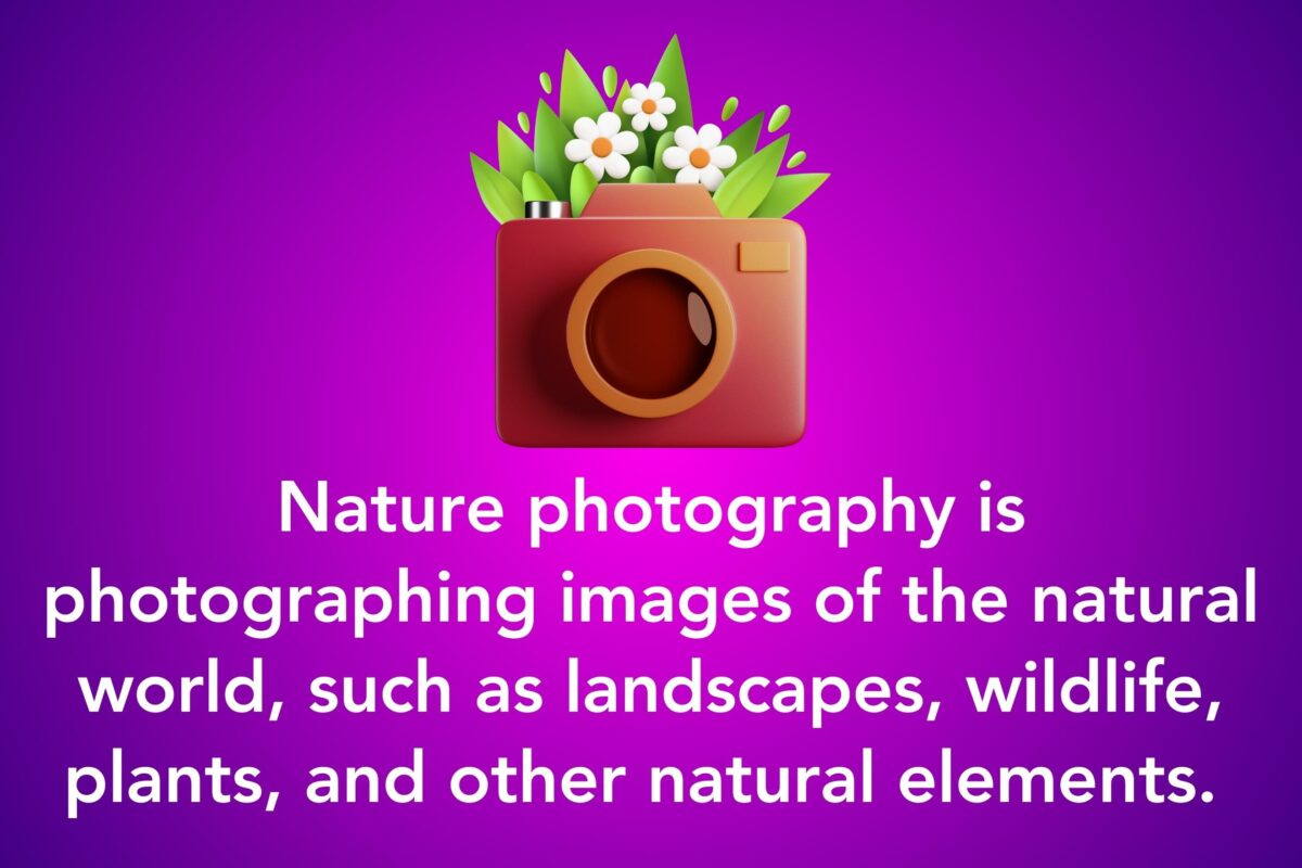 Nature Photography Is The Art Of Capturing Stunning Images Of The Natural World, Including Wildlife And Plants.