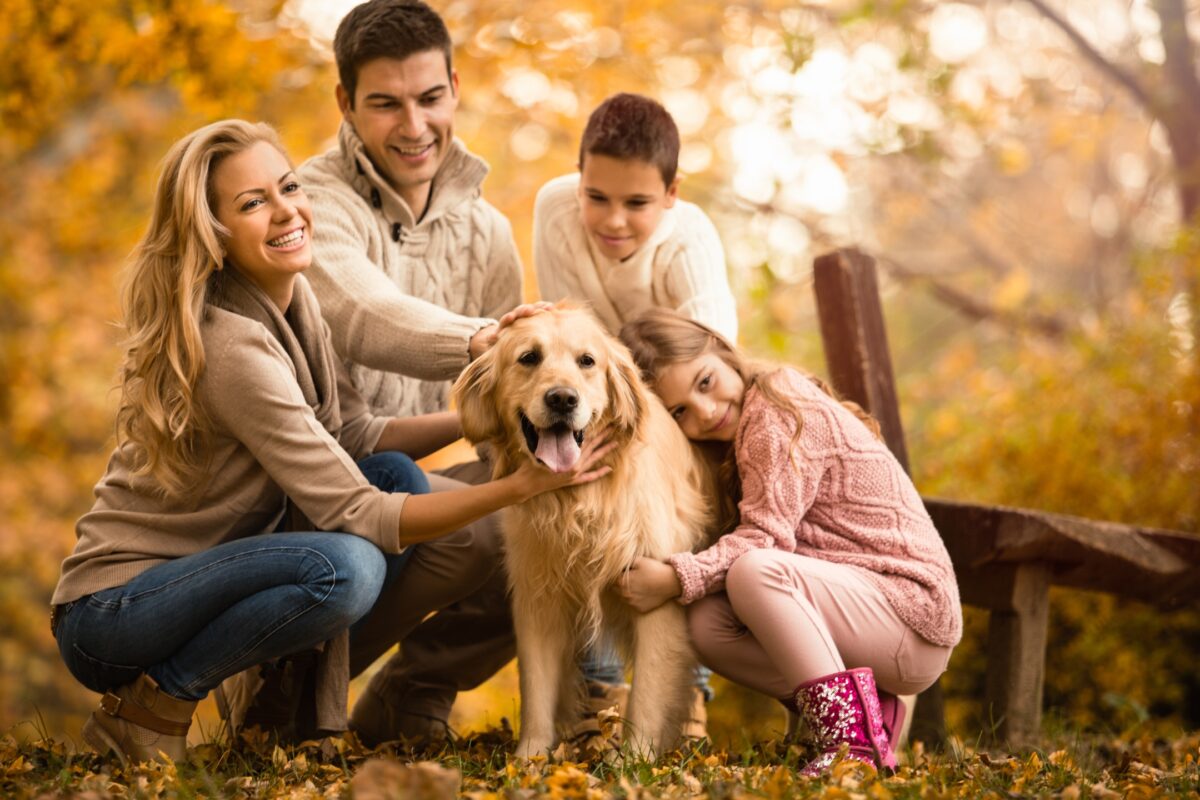 A Family With A Dog Sitting On A Bench In An Autumn Park.