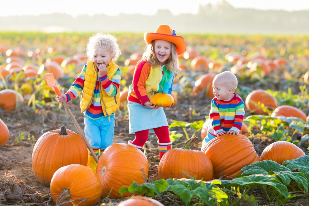 Three Children Playing With Pumpkins In A Field.