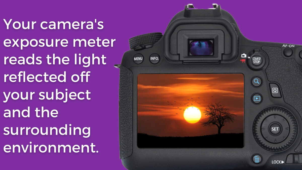 Your Camera'S Metering Modes Read The Light Reflected Of Your Subject And Surrounding Environment.