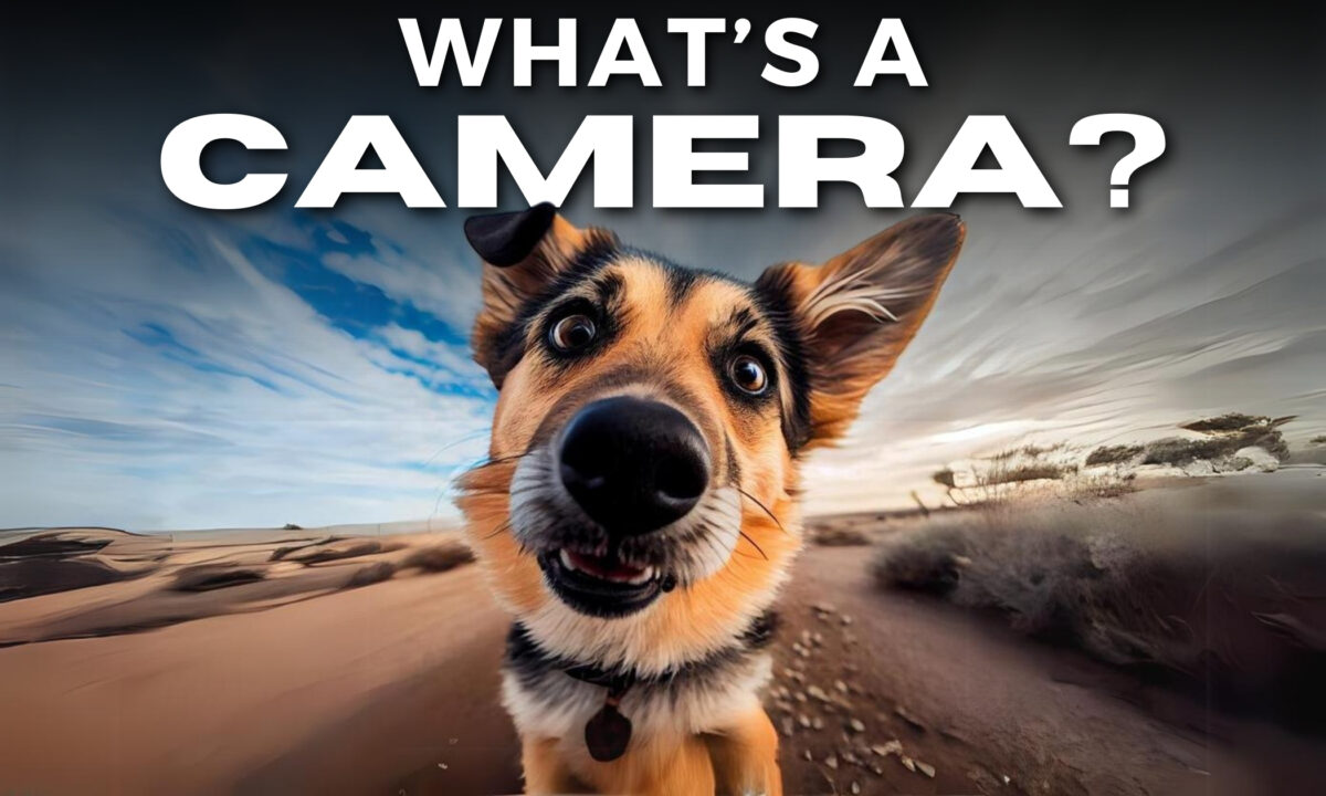 What Is A Camera And How Does It Work?