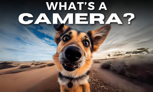What Is A Camera? Learn The Magic Behind Taking Photos!